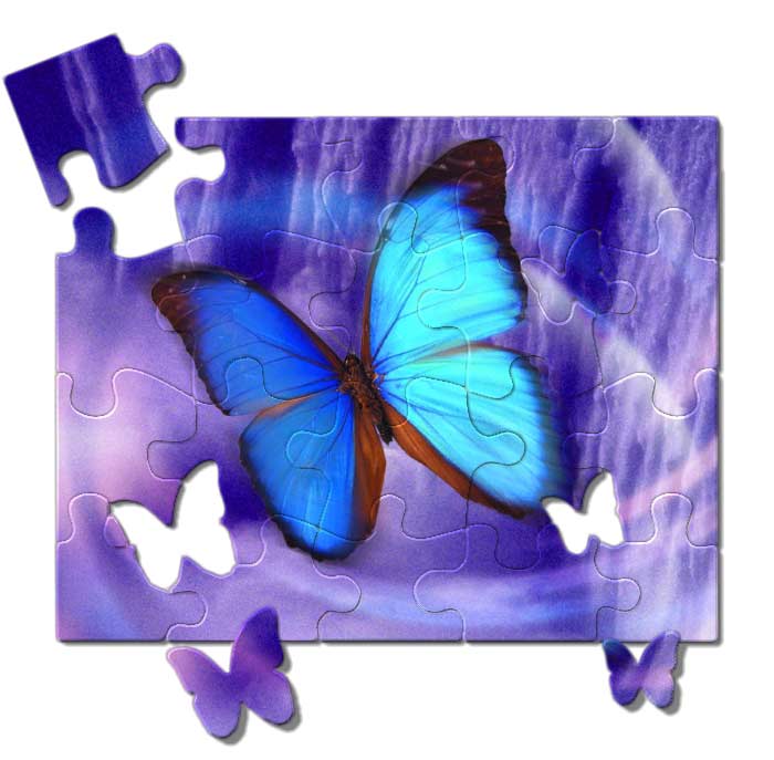 butterfly_puzzle